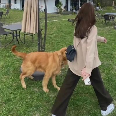 中华英雄